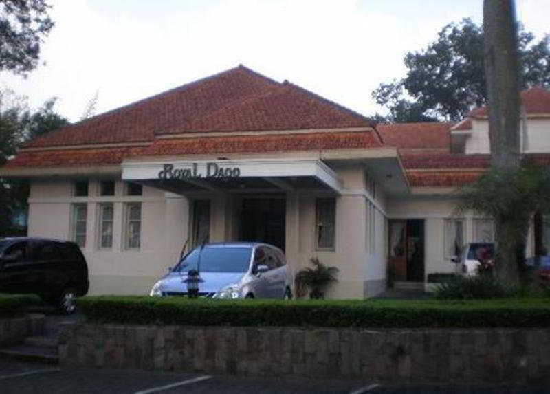 Royal Dago 2*