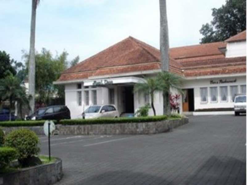 Royal Dago 2*